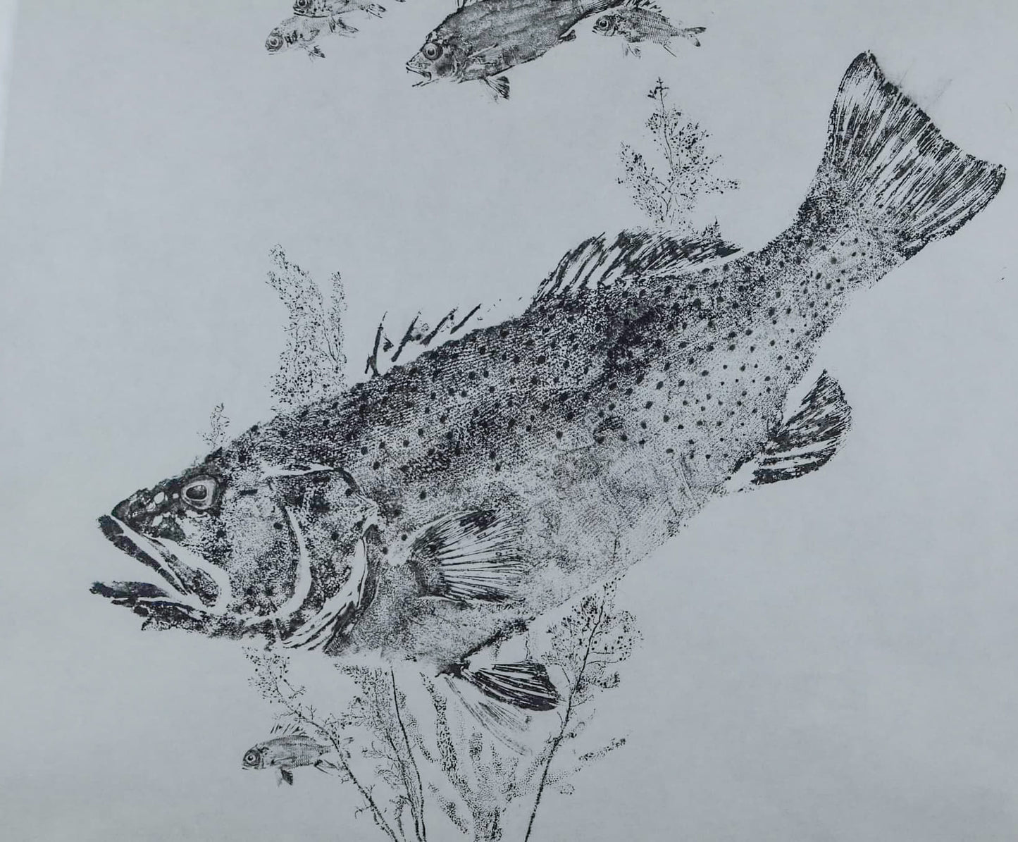 A Coral Trout's Garden