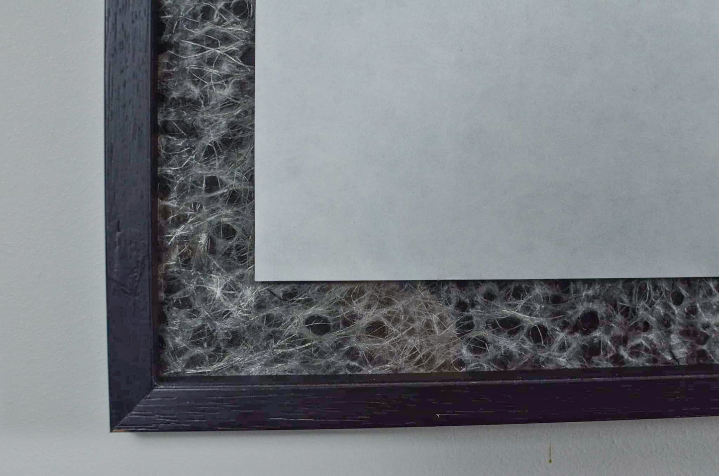 A Coral Trout's Garden