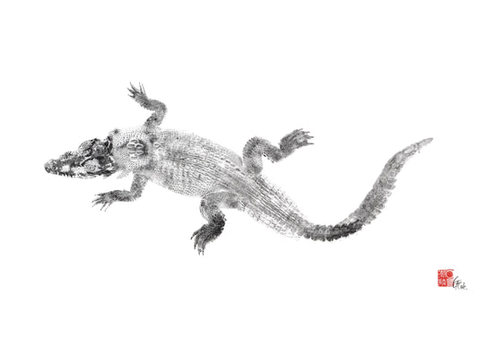 Juvenile Saltwater Crocodile Reproduction